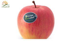 لیبل-میوه-چیست؟