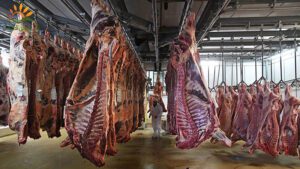 لیبل-کشتارگاه-چیست؟