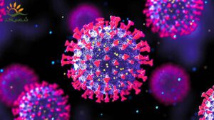 کووید-19