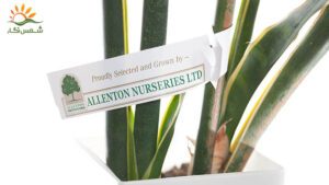 آشنایی-با-لیبل-نهال