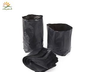 کیسه-نهال-چیست