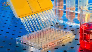 لیبل-کیت-آزمایشگاهی