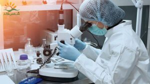 خصوصیات-لیبل-آزماشگاه