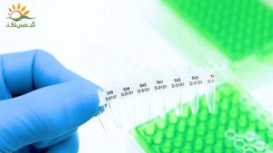 لیبل-حرارتی-آزمایشگاه