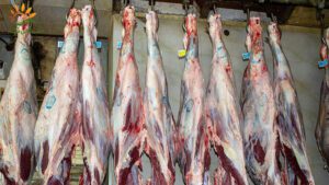 کاربرد-لیبل-کشتارگاه