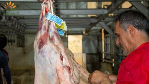 کیفیت-لیبل-کشتارگاه