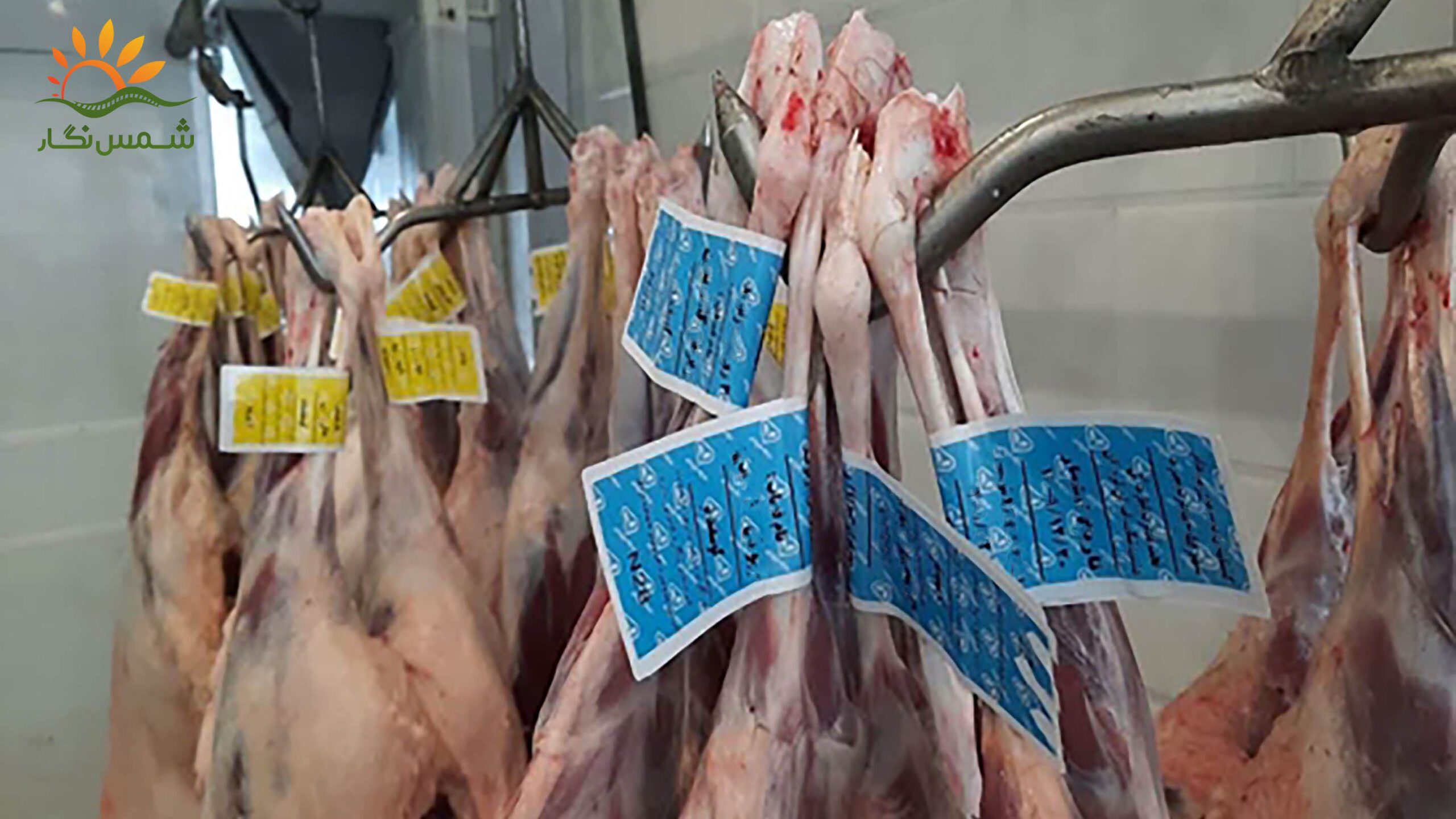 چرا لیبل کشتارگاه برای مصرف‌کنندگان حیاتی است؟