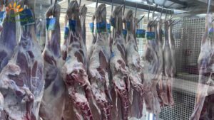 تاثیر عدم وجود لیبل کشتارگاه در بازار گوشت