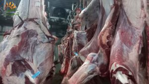 ویژگی‌های یک لیبل استاندارد کشتارگاه دام