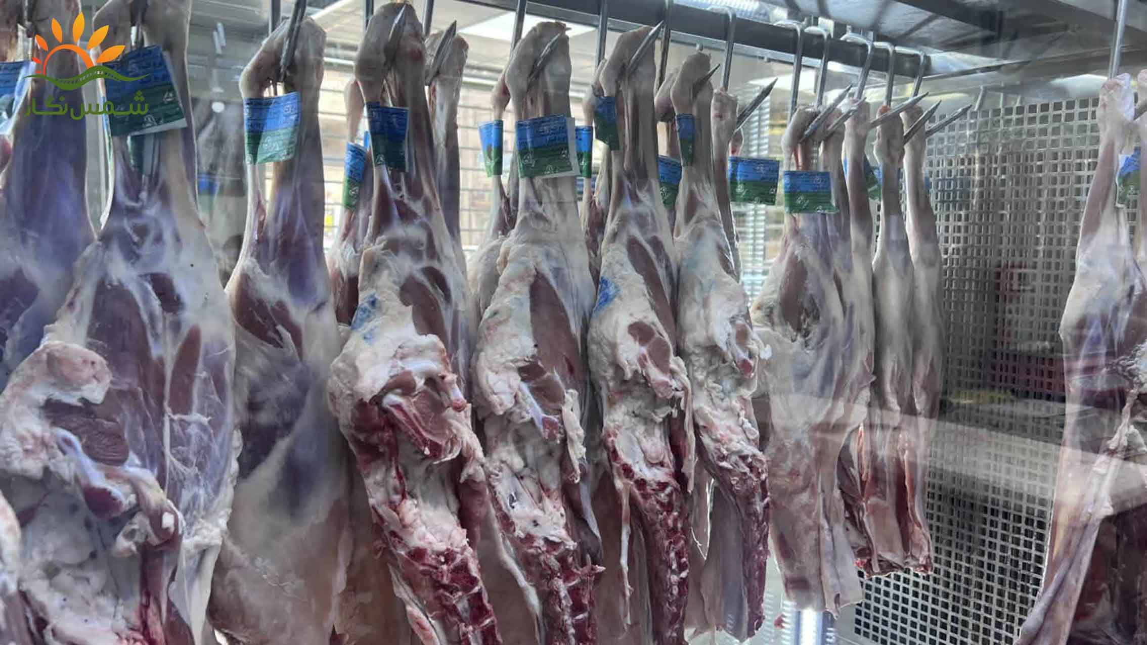 تاثیر عدم وجود لیبل کشتارگاه در بازار گوشت
